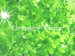 GREEN02.jpg